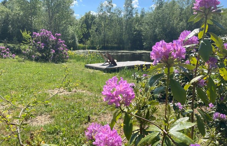 Der bluehende Garten des Ferienhauses in Hoogerheide, Nordbrabant, mit Blick auf einen ruhigen Teich.
