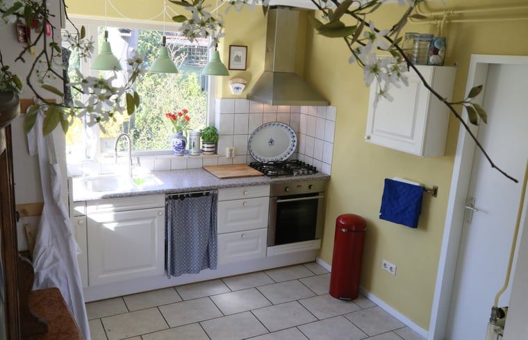 Voll ausgestattete Kueche im Ferienhaus in Oosterhout, Nordbrabant, ideal fuer kulinarische Abenteuer.