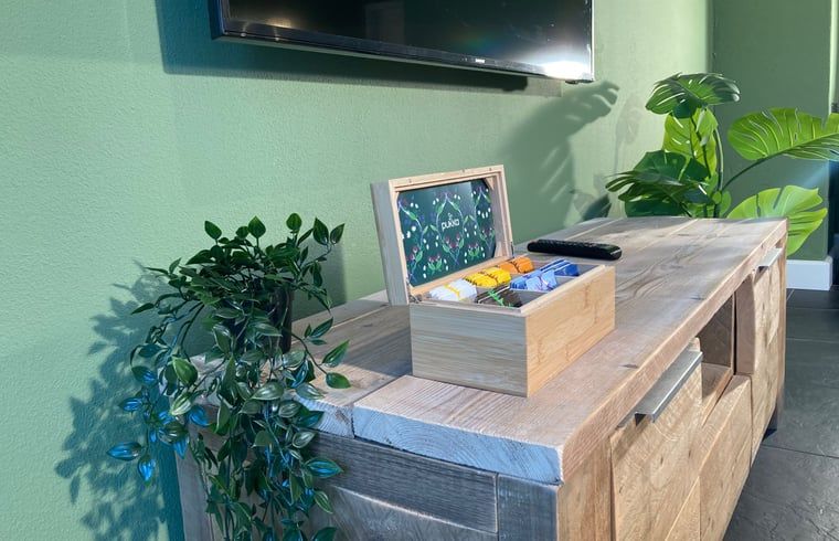 Stylish living room of Huisje in Oosterhout, vacation home in Oosterhout, West Brabant, North Brabant.