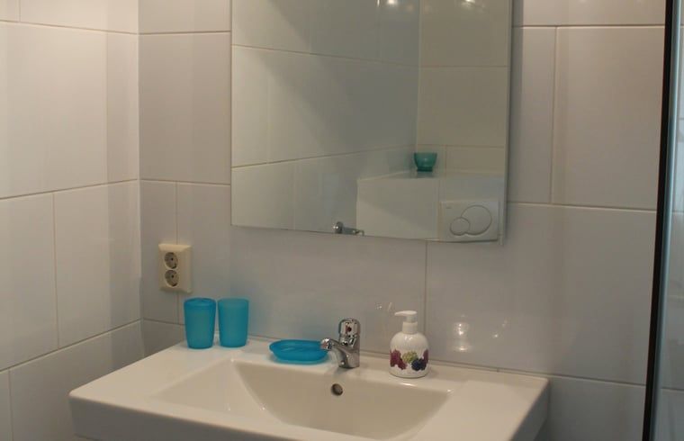 Badezimmer im Ferienhaus in Drimmelen, West-Brabant, mit stilvollem Waschbecken.