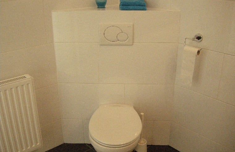 Toilette in Haus in Drimmelen, Ferienhaus in Westbrabant mit minimalistischem Design.