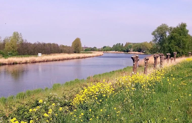 Flusslandschaft in der Naehe des Ferienhauses in Drimmelen, Ferienhaus in Nordbrabant mit Blumenpracht.