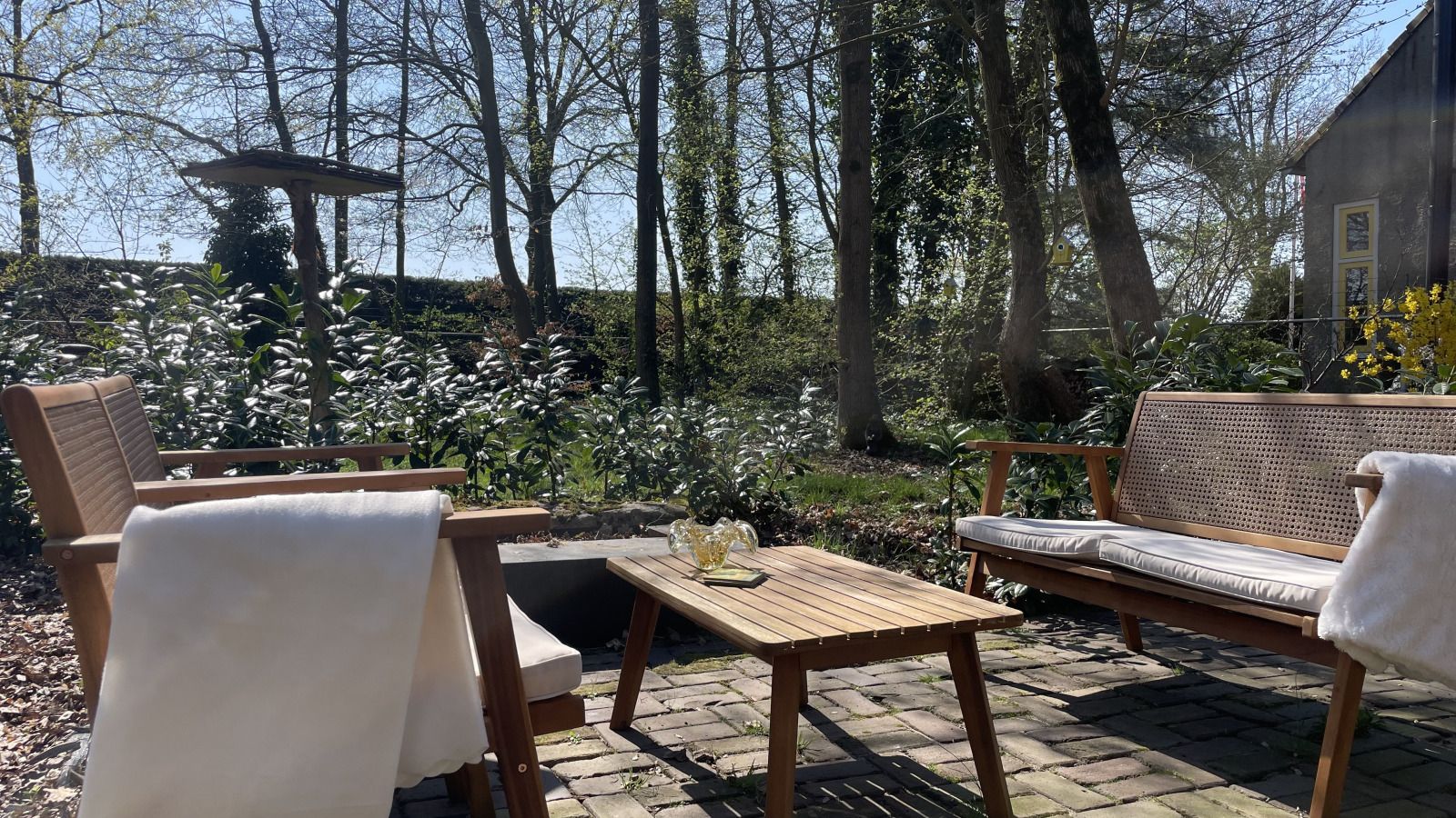 Bomenrijke omgeving rondom NB094 vakantiehuis in Molenschot, Noord Brabant.