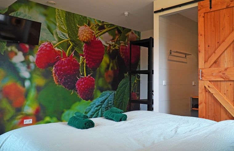 Guest house 442509 - Holiday property West Brabant - Huisje in Molenschot