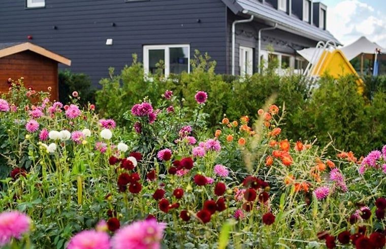 Guest house 442509 - Holiday property West Brabant - Huisje in Molenschot