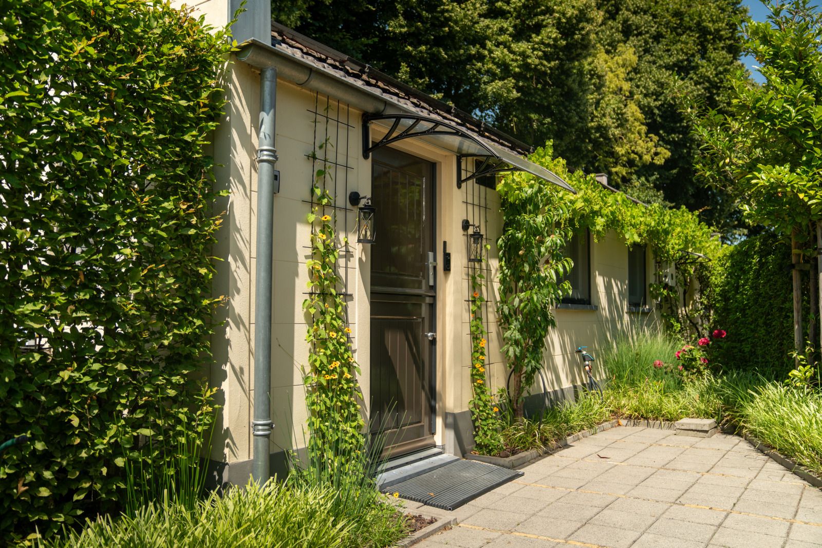 Unterkunft 442702 - Ferienhaus West Brabant - NB203