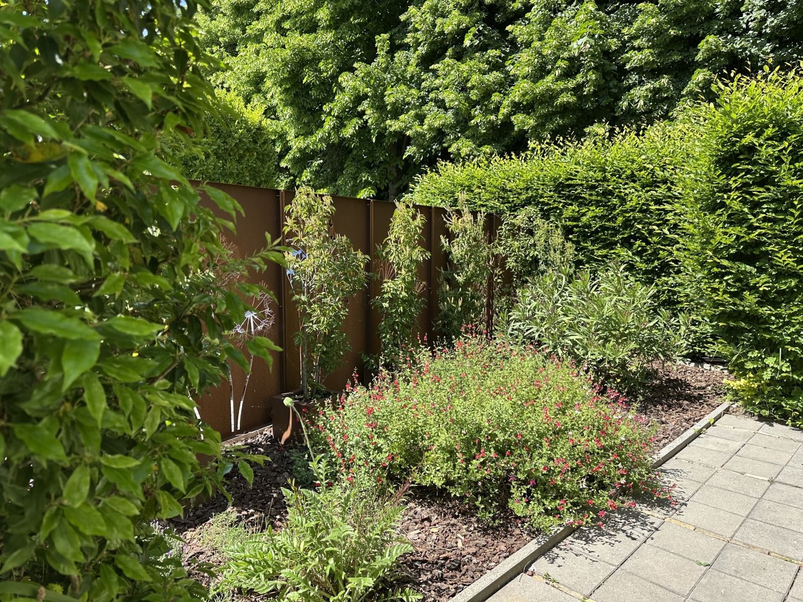 Unterkunft 442702 - Ferienhaus West Brabant - NB203