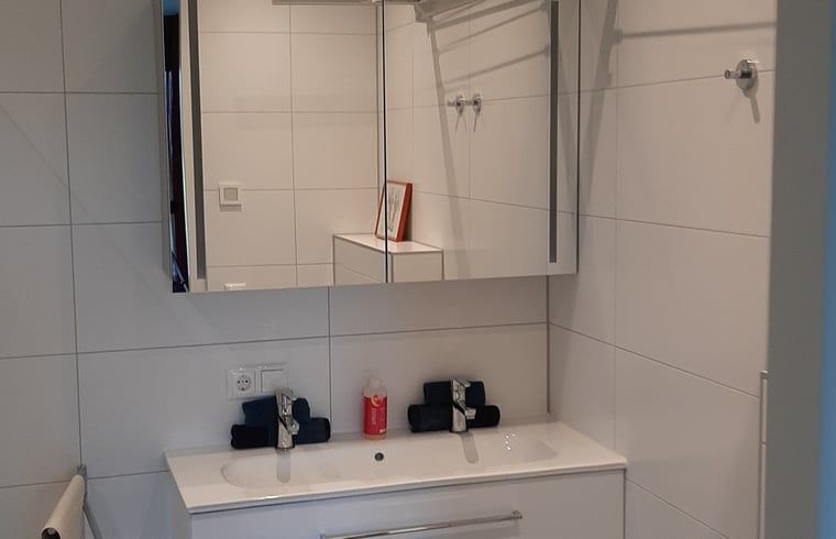 Stylish bathroom in Holiday home in Werkendam with modern amenities, West Brabant, North Brabant