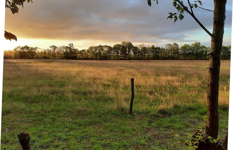 Breathtaking view of meadow at sunset from Holiday home in Werkendam, West Brabant, North Brabant