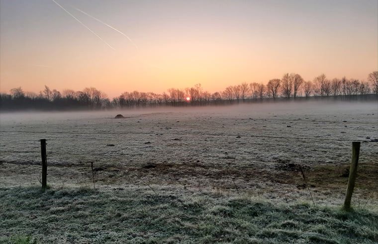 Mysterious morning mist over meadow near Holiday home in Werkendam, West Brabant, North Brabant