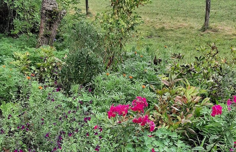 Flowering garden at Holiday home in Werkendam, West Brabant, North Brabant
