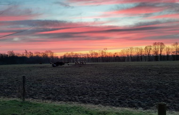 Spectacular sunset over meadow at Holiday home in Werkendam, West Brabant, North Brabant
