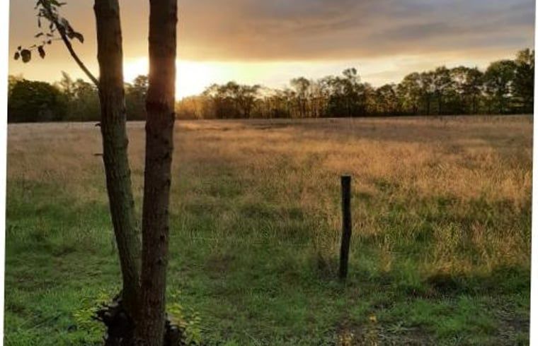 Sunset with row of trees near Holiday home in Werkendam, West Brabant, North Brabant