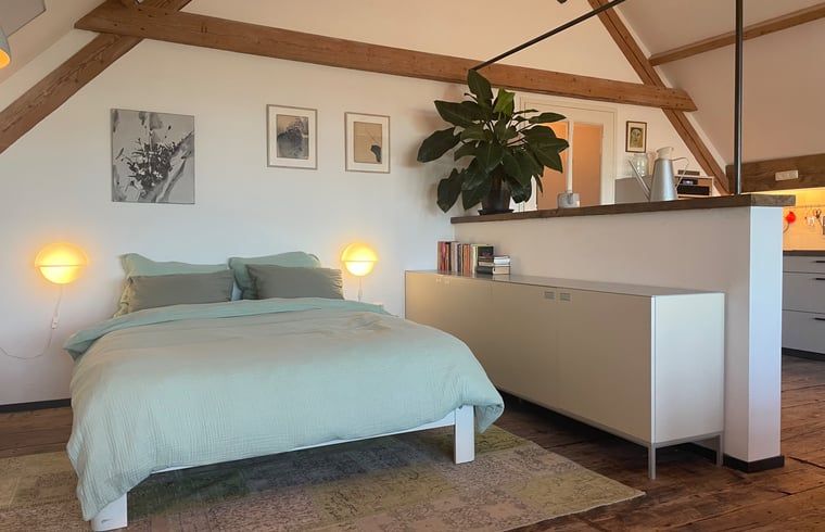 Guest house 443210 - Holiday property West Brabant - Huisje in Werkendam