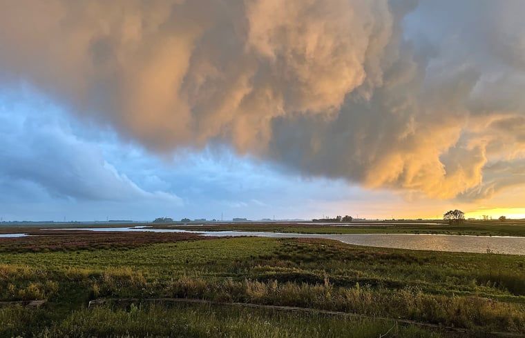 Guest house 443210 - Holiday property West Brabant - Huisje in Werkendam