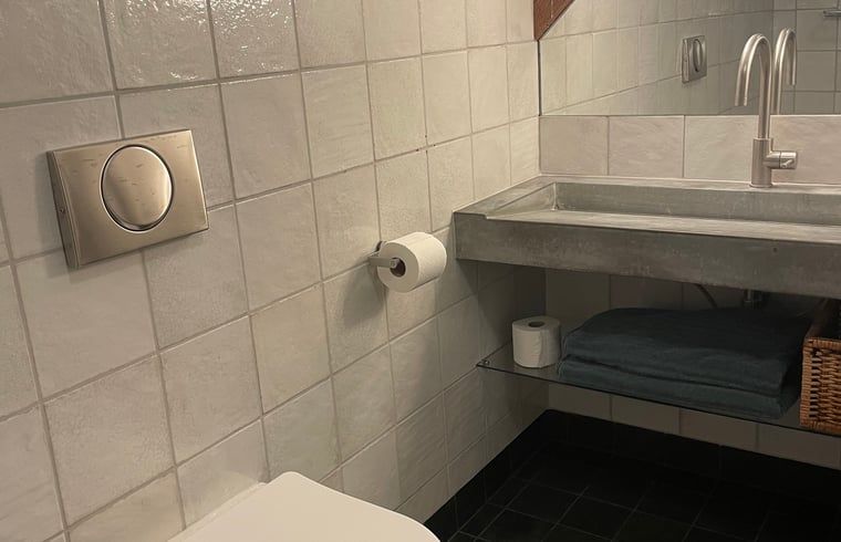 Guest house 443210 - Holiday property West Brabant - Huisje in Werkendam