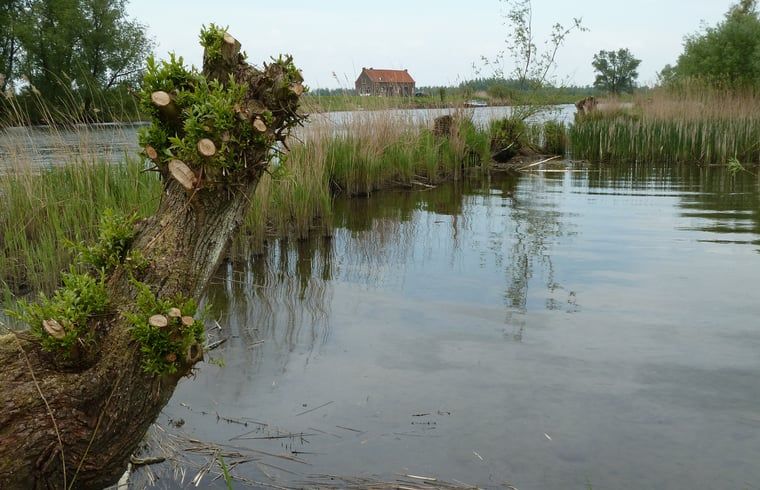 Unterkunft 443214 - Ferienhaus West Brabant - Huisje in Werkendam