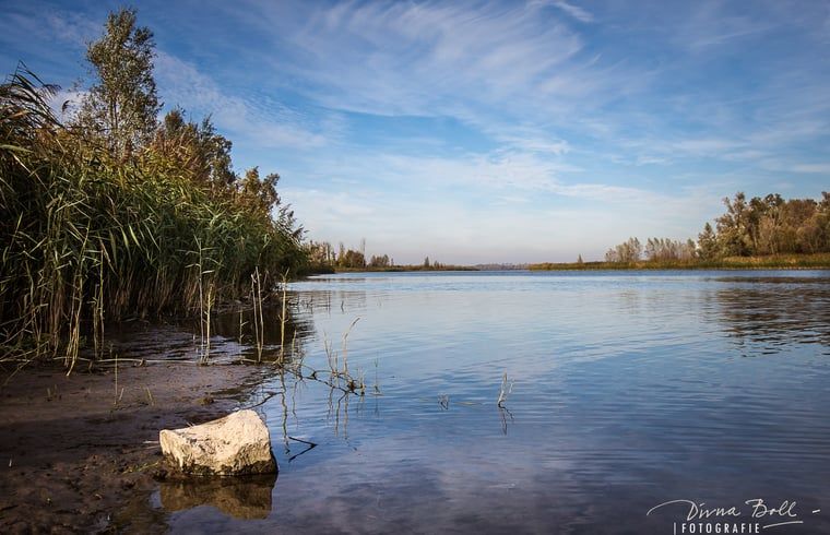 Guest house 443215 - Holiday property West Brabant - Vakantiehuis in Werkendam