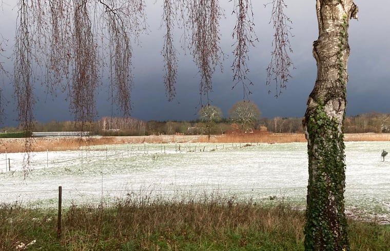 Guest house 443808 - Holiday property West Brabant - Huisje in Ulvenhout Ac