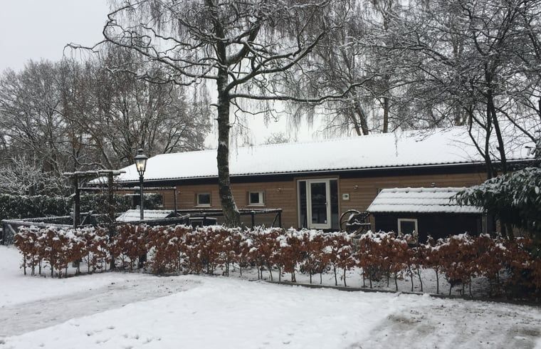 Guest house 443808 - Holiday property West Brabant - Huisje in Ulvenhout Ac