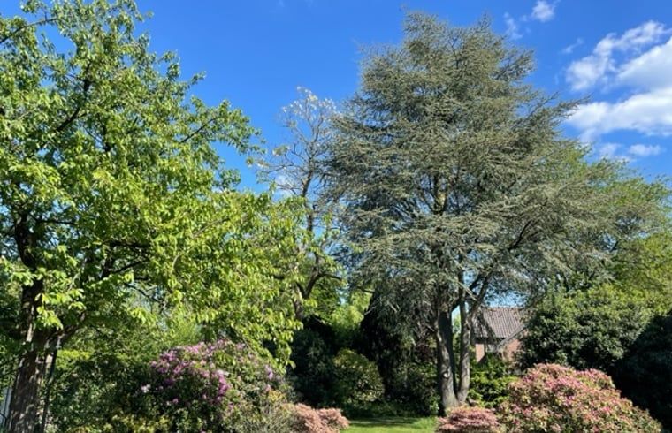 Guest house 443812 - Holiday property West Brabant - Vakantiehuis in Ulvenhout AC