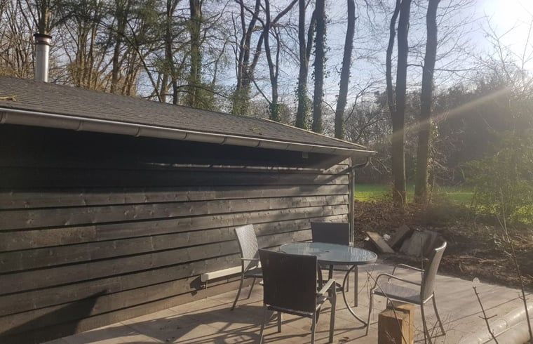 Terrace of Cottage in Schijf, vacation home in North Brabant with comfortable seating.