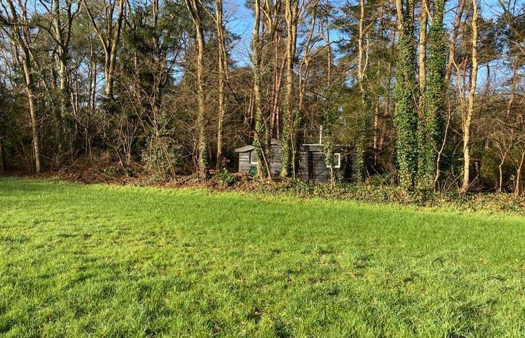Green surroundings of Huisje in Schijf, vacation home in wooded North Brabant.