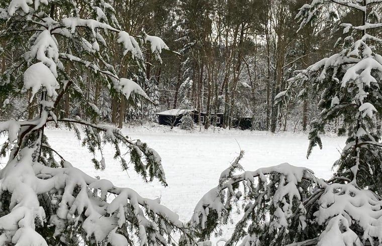 Snowy landscape around Cottage in Schijf, vacation home in wintry West Brabant.