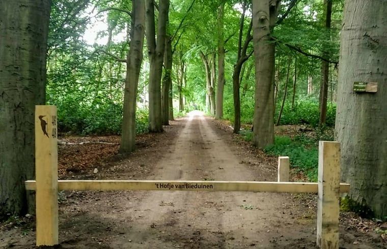 Bosrijke omgeving van Huisje in Putte, vakantiehuis in West Brabant, Noord Brabant.