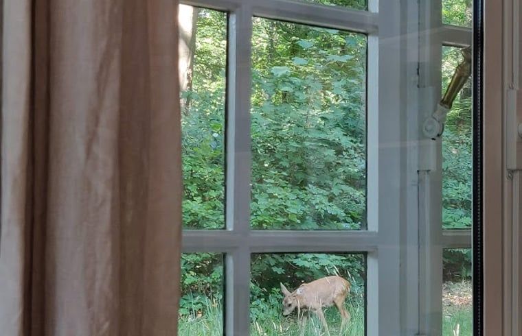 Uitzicht op natuur vanuit Huisje in Putte, vakantiehuis in West Brabant, Noord Brabant.