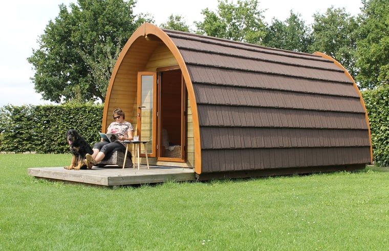 Cozy lodge with terrace in Cottage in Terheijden, North Brabant, perfect for relaxation.