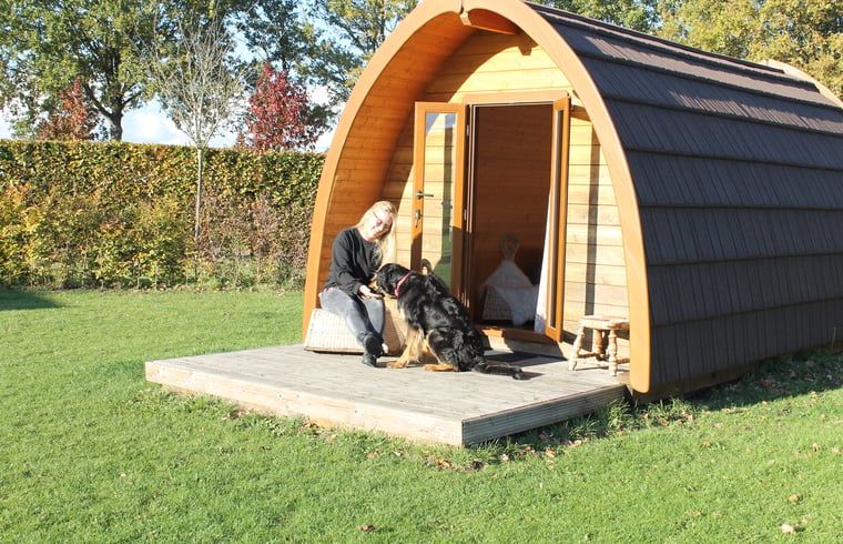 Geniessen Sie die Veranda des Ferienhauses in Terheijden, Nordbrabant, ideal zum Entspannen in der Natur.