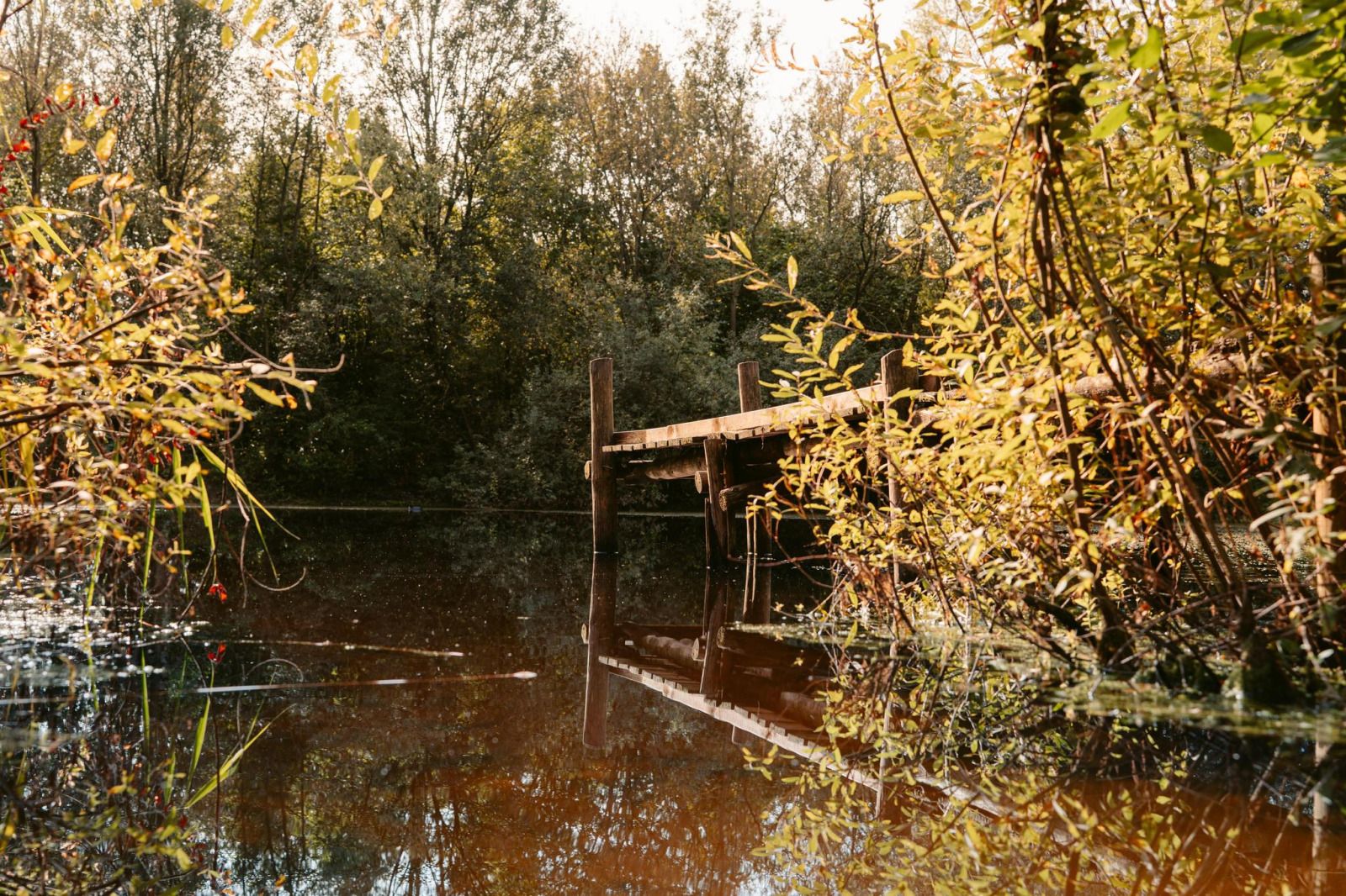 Verblijf 444803 - Vakantiewoning West Brabant - Tipi