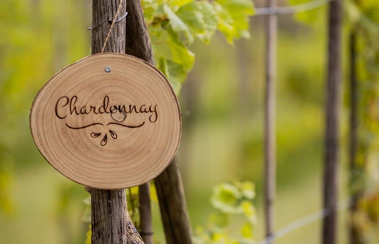 Chardonnay sign in the vineyard surroundings of Holiday home in Fijnaart, West Brabant.
