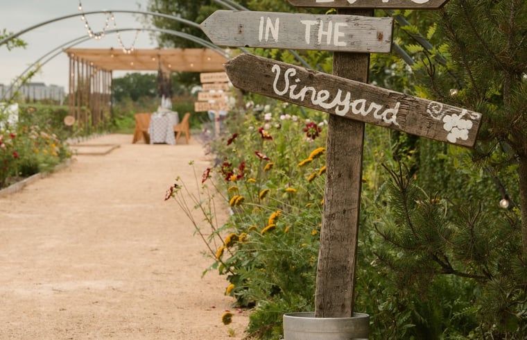 Romantic walking tour in the vineyard near Holiday home in Fijnaart, North Brabant.