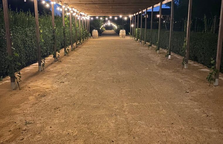Illuminated pergola in the evening at Holiday home in Fijnaart, West Brabant.