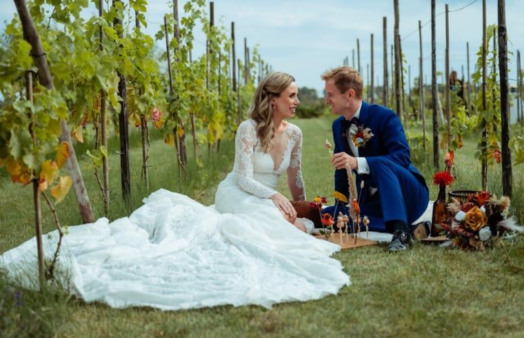 Wedding in the vineyard at Holiday Home in Fijnaart, West Brabant.