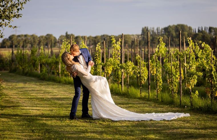 Beautiful wedding photo in vineyard at Holiday home in Fijnaart, North Brabant.