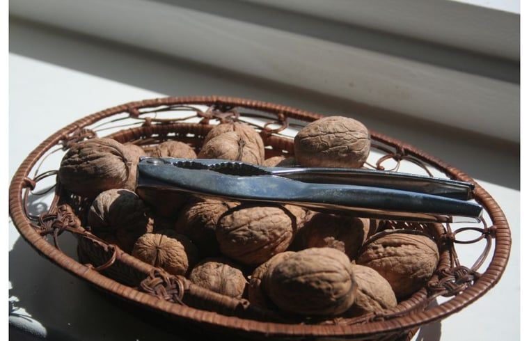 Verblijf 446001 - Vakantiewoning West Brabant - Huisje in Moerstraten