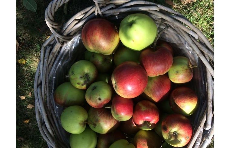 Verblijf 446001 - Vakantiewoning West Brabant - Huisje in Moerstraten