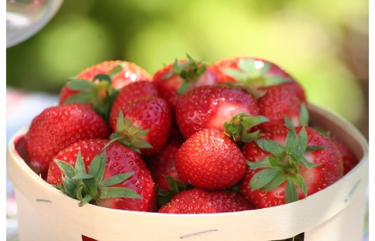 Verblijf 446001 - Vakantiewoning West Brabant - Huisje in Moerstraten