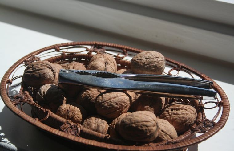 Verblijf 446002 - Vakantiewoning West Brabant - Vakantiehuisje in Moerstraten