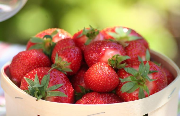 Verblijf 446002 - Vakantiewoning West Brabant - Vakantiehuisje in Moerstraten