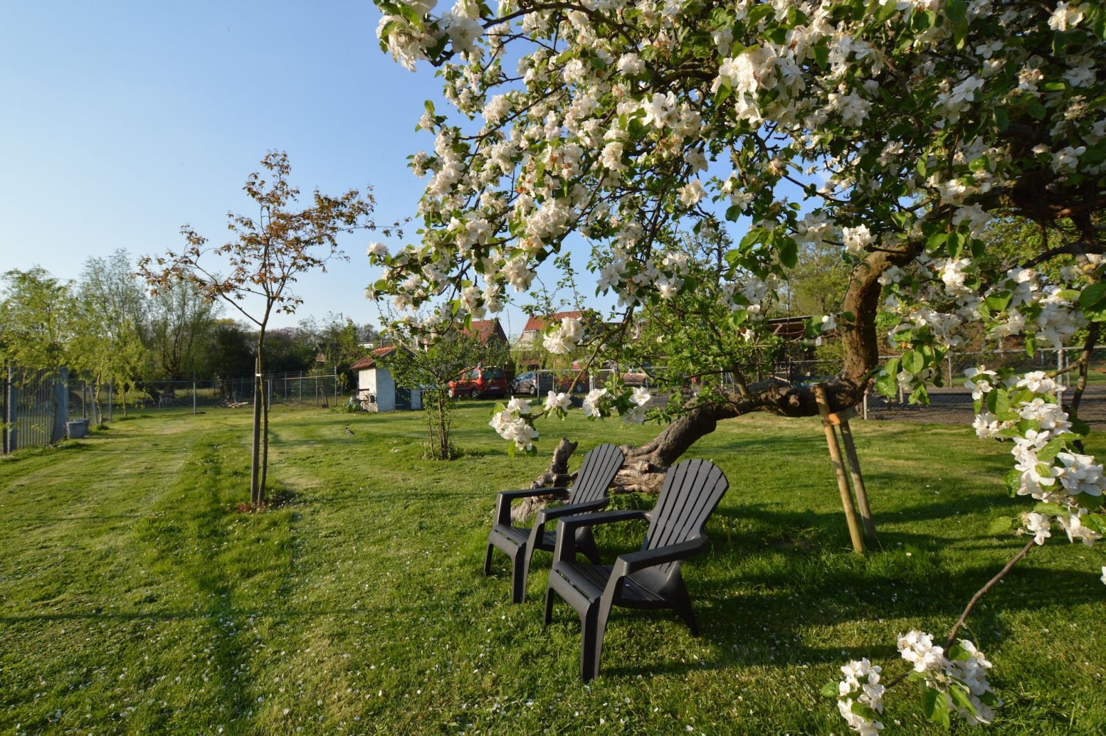 Verblijf 446301 - Vakantiewoning West Brabant - Pipowagen «de Weideblick»