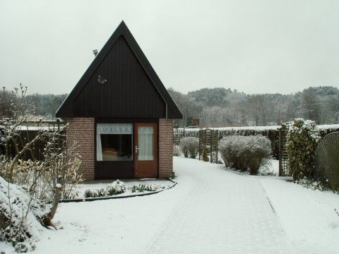 Guest house 450115 - Holiday property Noordzeekust - de Vlinder