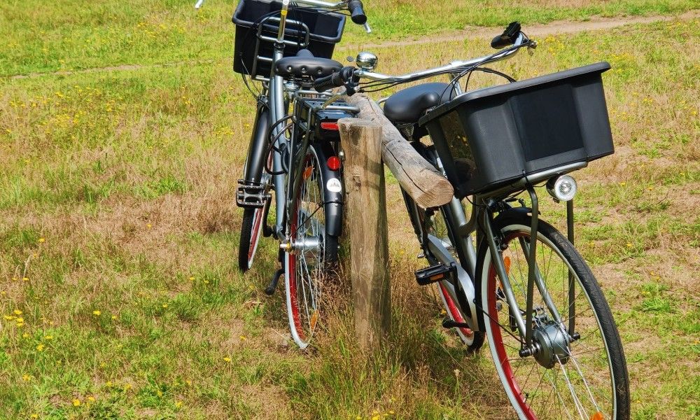 Guest house 4501195 - Tent house Noordzeekust - Luxe ingerichte safaritent