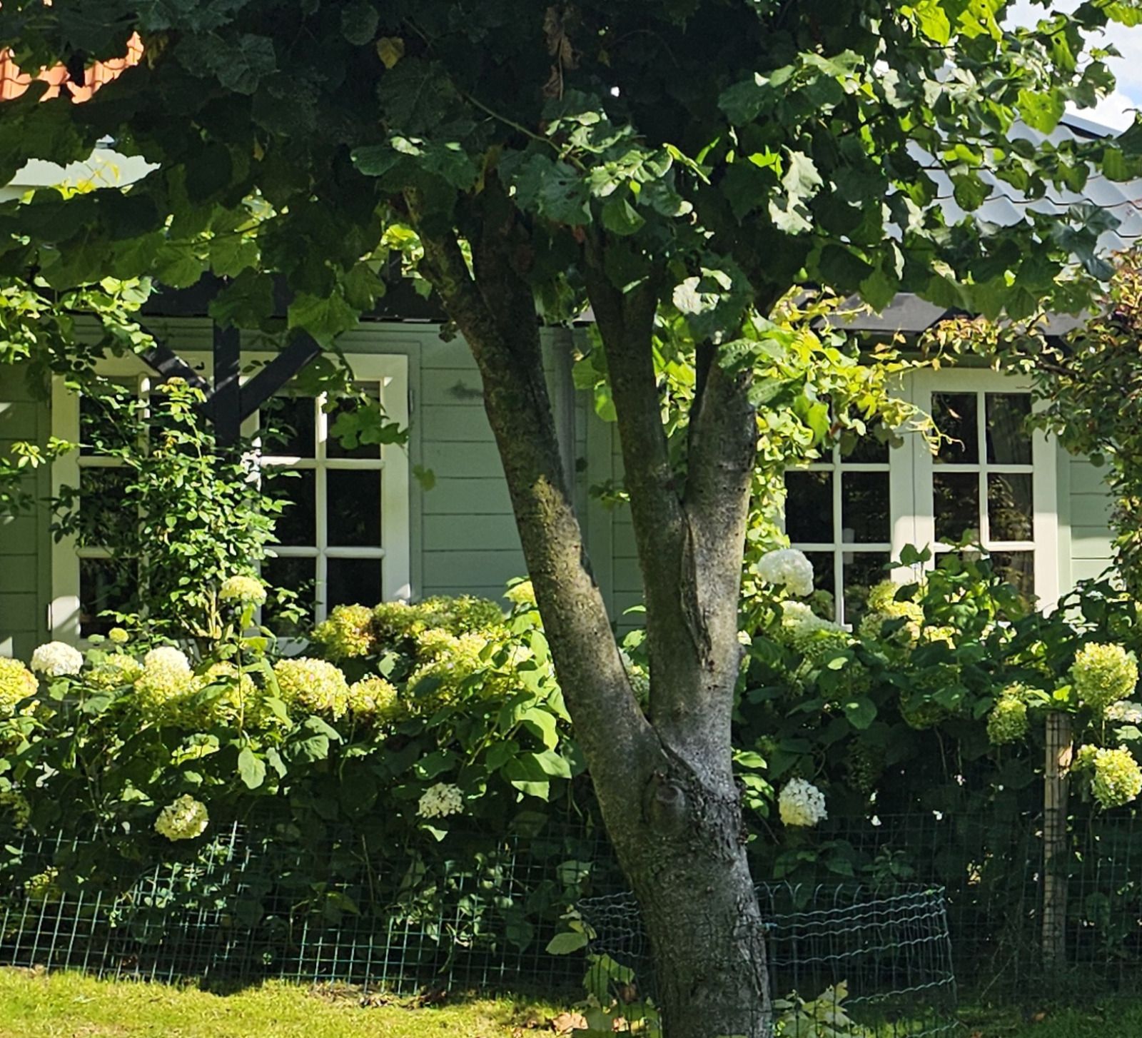 Unterkunft 4502108 - Ferienhaus Noordzeekust - NH580