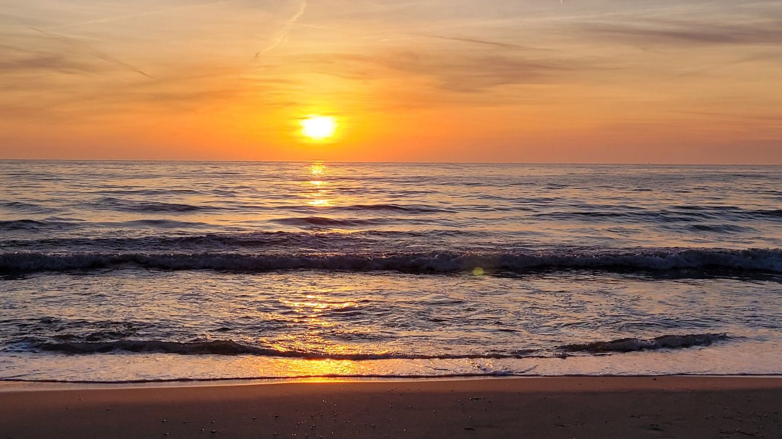 Unterkunft 4502108 - Ferienhaus Noordzeekust - NH580