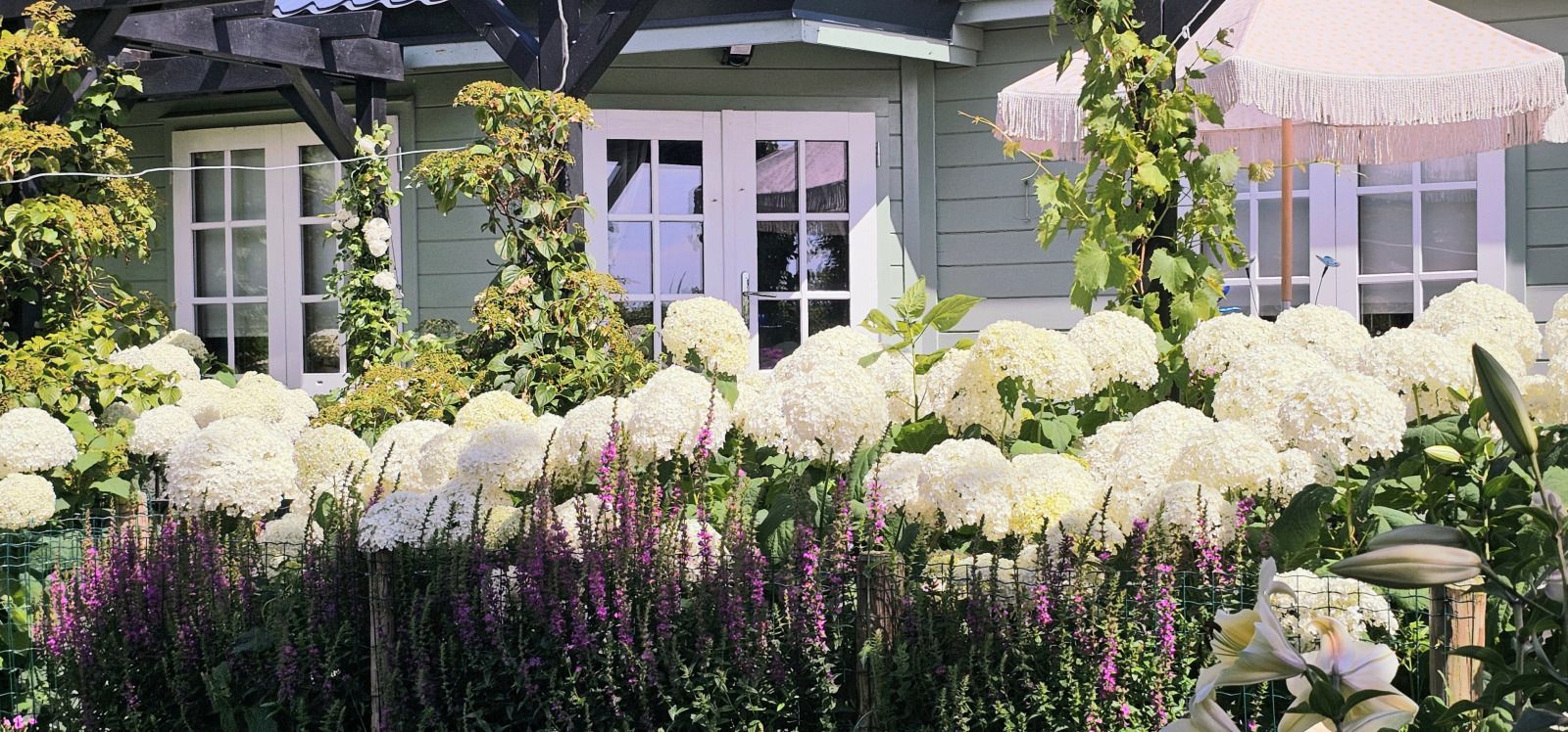 Unterkunft 4502108 - Ferienhaus Noordzeekust - NH580