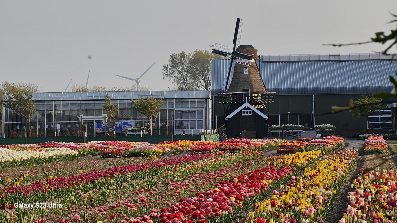 Unterkunft 4502108 - Ferienhaus Noordzeekust - NH580